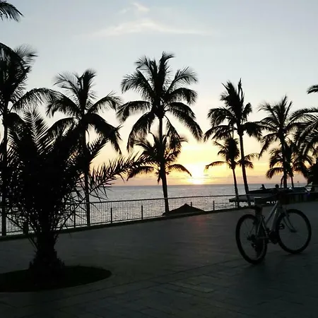 Delfin Playa *